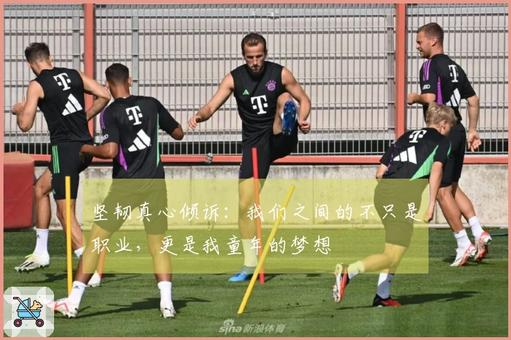 坚韧真心倾诉：我们之间的不只是职业，更是我童年的梦想